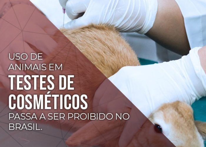 Uso de animais em testes de cosméticos passa a ser proibido no Brasil.